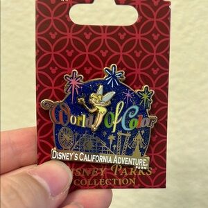 Disney World of Color Pin